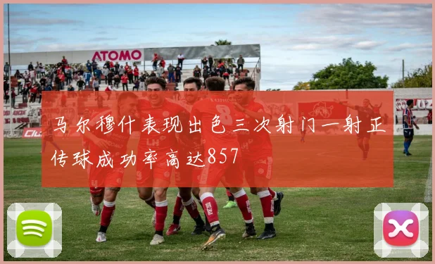 马尔穆什表现出色三次射门一射正传球成功率高达857
