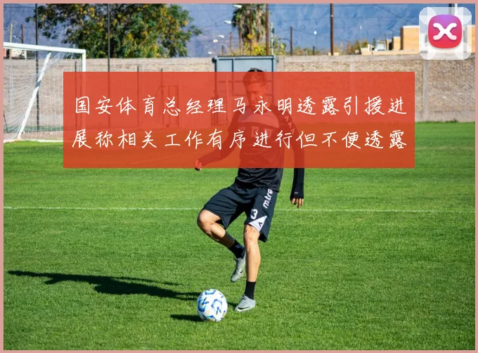 国安体育总经理马永明透露引援进展称相关工作有序进行但不便透露名字