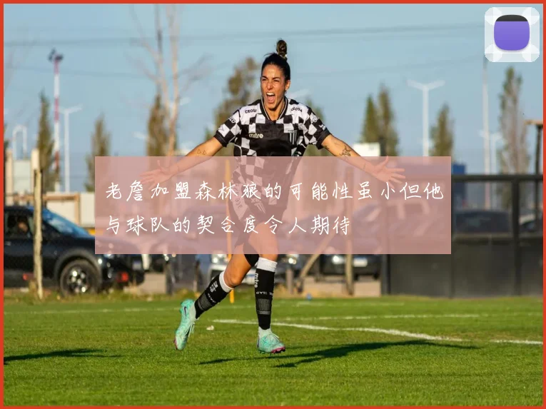 老詹加盟森林狼的可能性虽小但他与球队的契合度令人期待